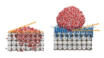 MOFs EN