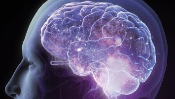 Teaserbild: Schubförmige Multiple Sklerose in ZNS und Peripherie behandeln