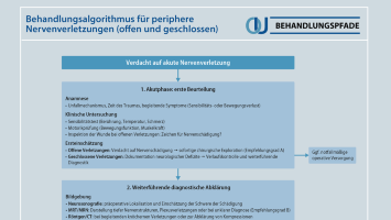 Behandlungsalgorithmus Periphere Nervenverletzungen
