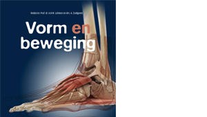 Vorm en beweging_Picture