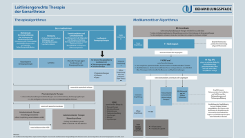 Leitliniengerechte Therapie der Gonarthrose