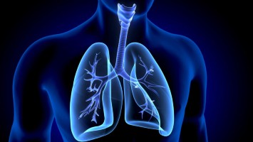 Teaserbild Apontis Asthma