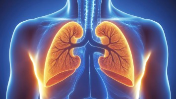 Titelbild: Symbolbild Thorax 