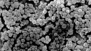 Rasterelektronenmikroskopische Aufnahme von Nanopartikeln