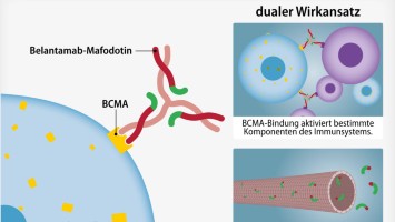 Daratumumab | Multiples Myelom: Dara-VRd auch für nicht ...