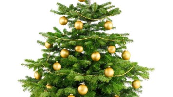 Weihnachtsbaum, Christbaum, Nadelbaum, Schmuck