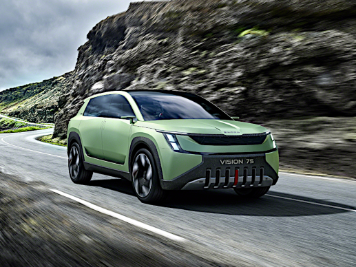 Skoda vision 7s