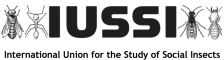 Logo for the International Union of the Study of Social Insects