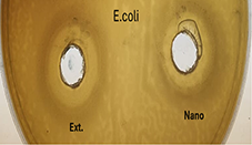 View full size image