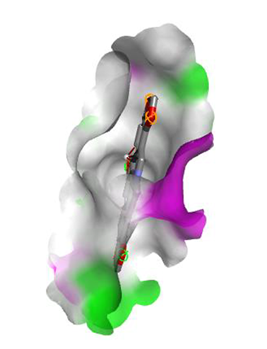 View full size image