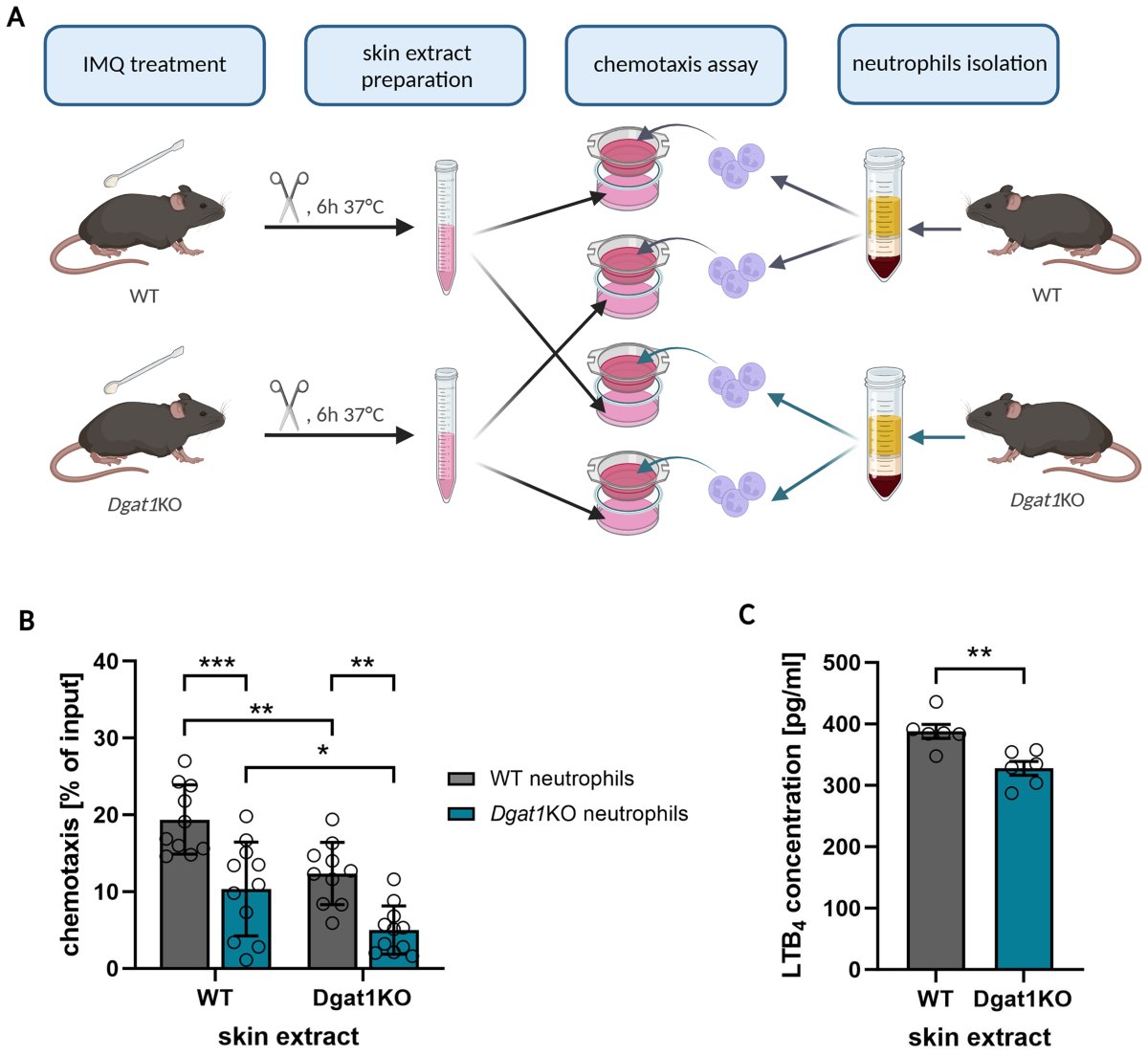 Anna Hopkin leads off 7th-place British 4 x 100m relay in Paris | Arkansas  Razorbacks, image size:1200x1104