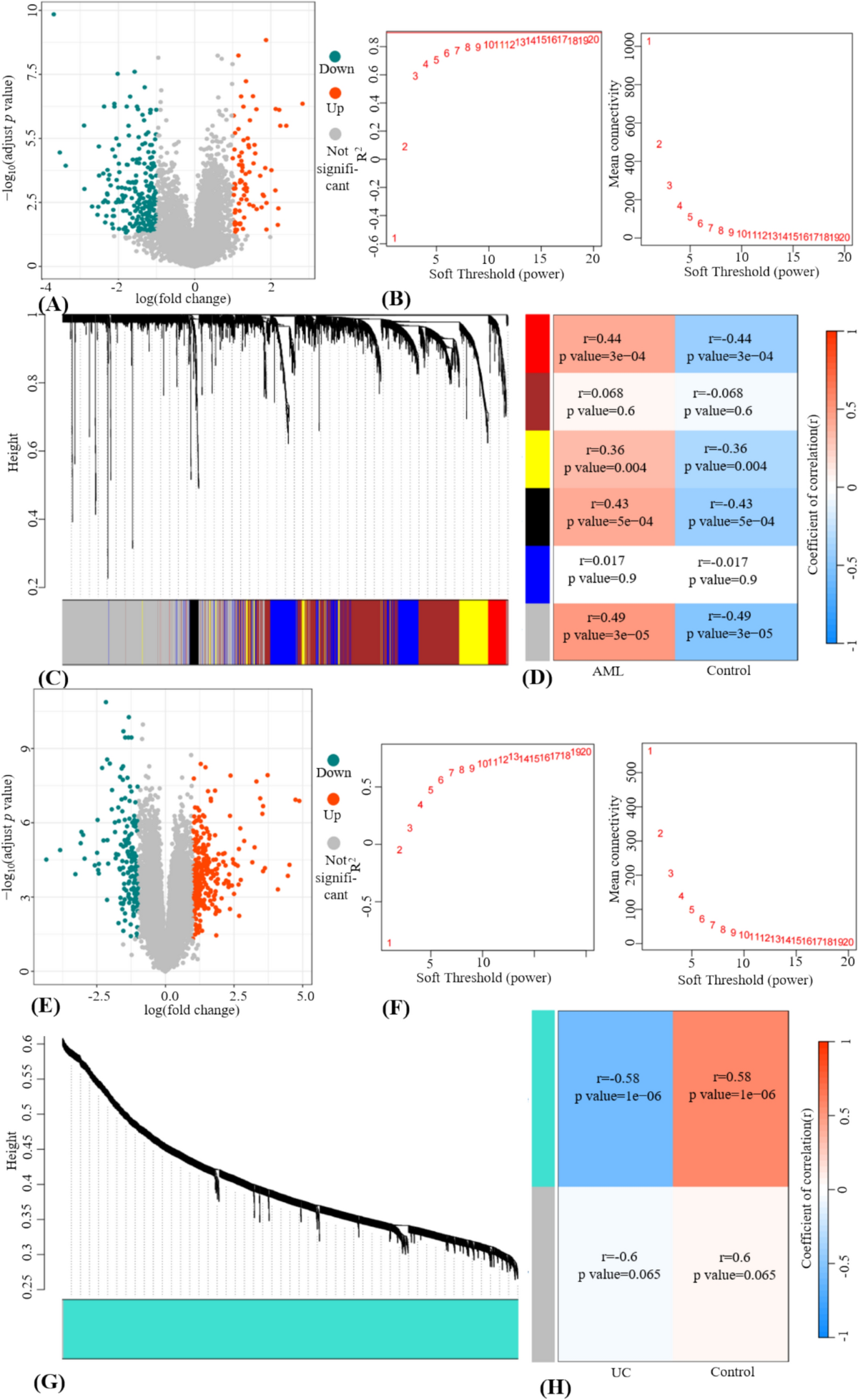 Shared genetic association between inflammatory bowel disease and acute  myeloid leukemia: insights from mendelian randomization and transcriptomic  analyses | Inflammation Research