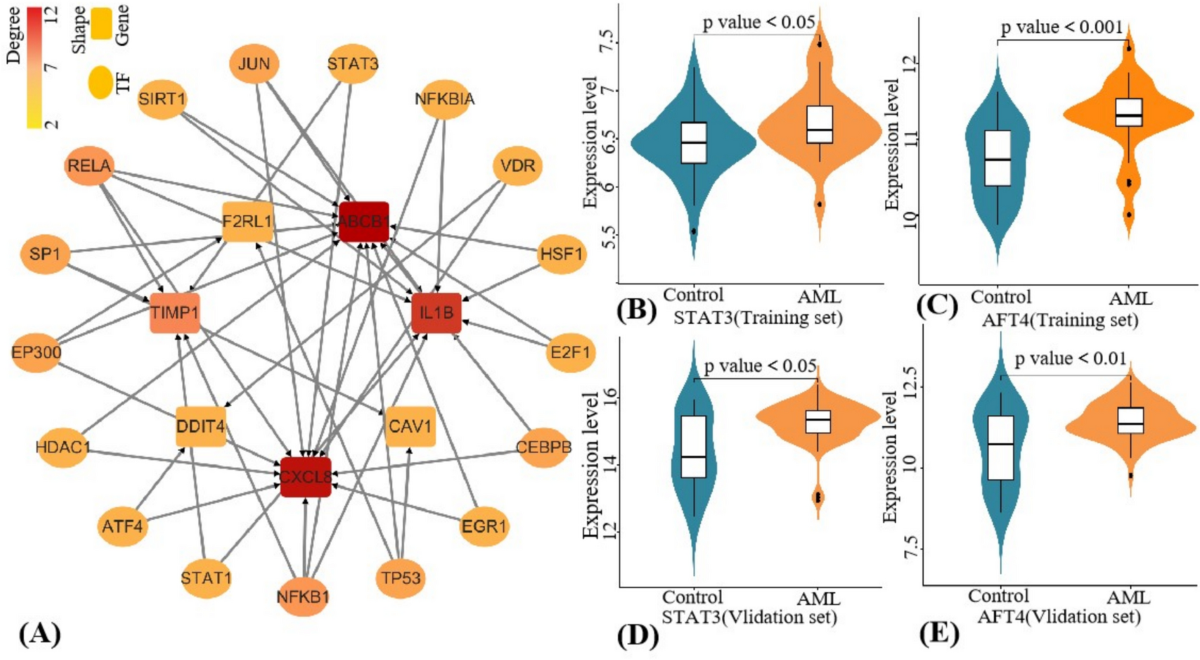 Shared genetic association between inflammatory bowel disease and acute  myeloid leukemia: insights from mendelian randomization and transcriptomic  analyses | Inflammation Research