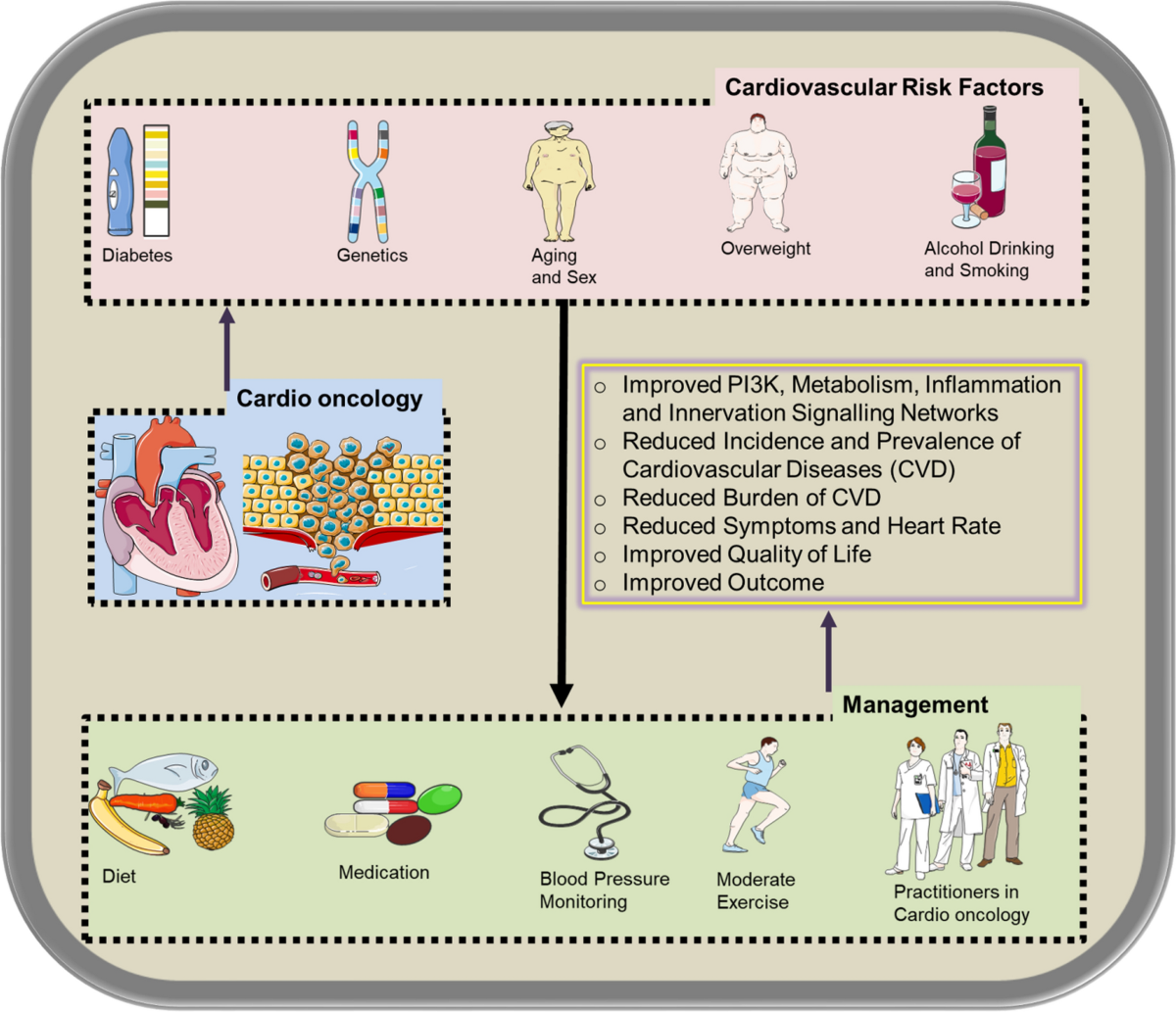 PI3K signalling at the intersection of cardio-oncology networks: cardiac  safety in the era of AI | Cellular and Molecular Life Sciences