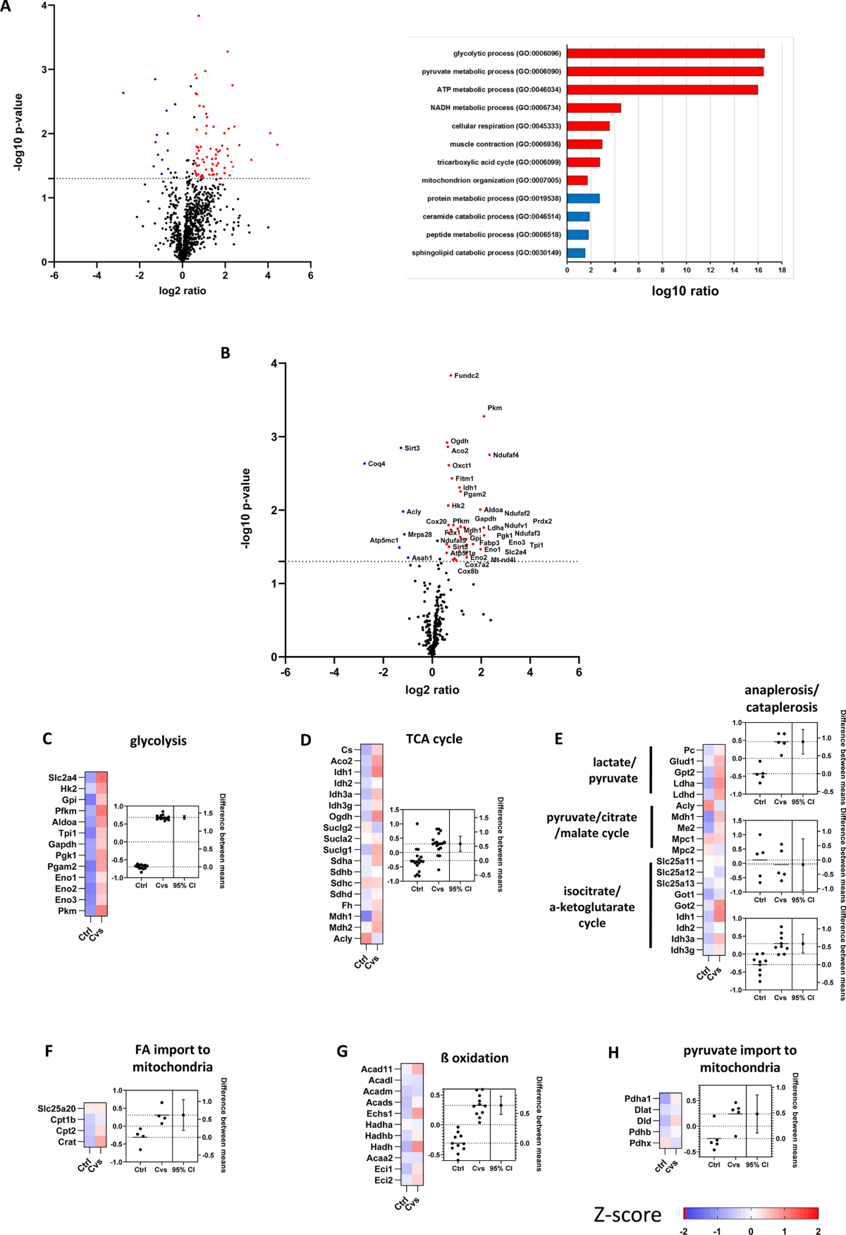 Chronic stress targets mitochondrial respiratory efficiency in the skeletal  muscle of C57BL/6 mice | Cellular and Molecular Life Sciences