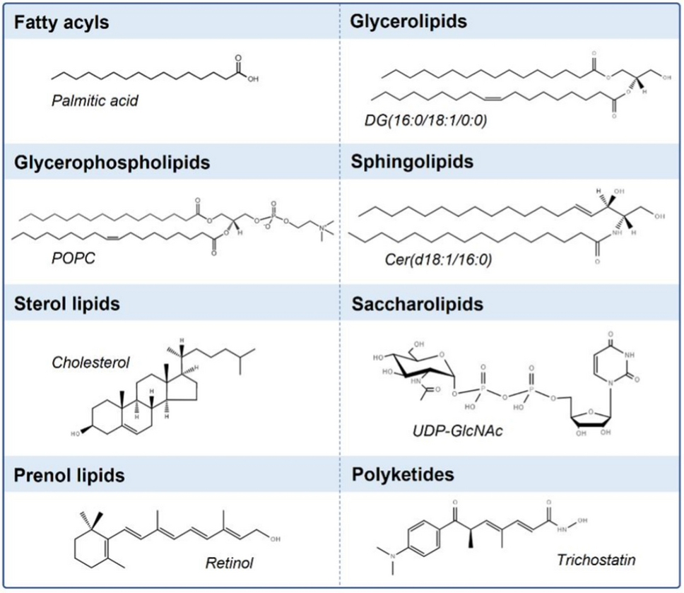 Functional roles of sphingolipids in immunity and their implication in  disease | Experimental \u0026 Molecular Medicine, image size:968x839