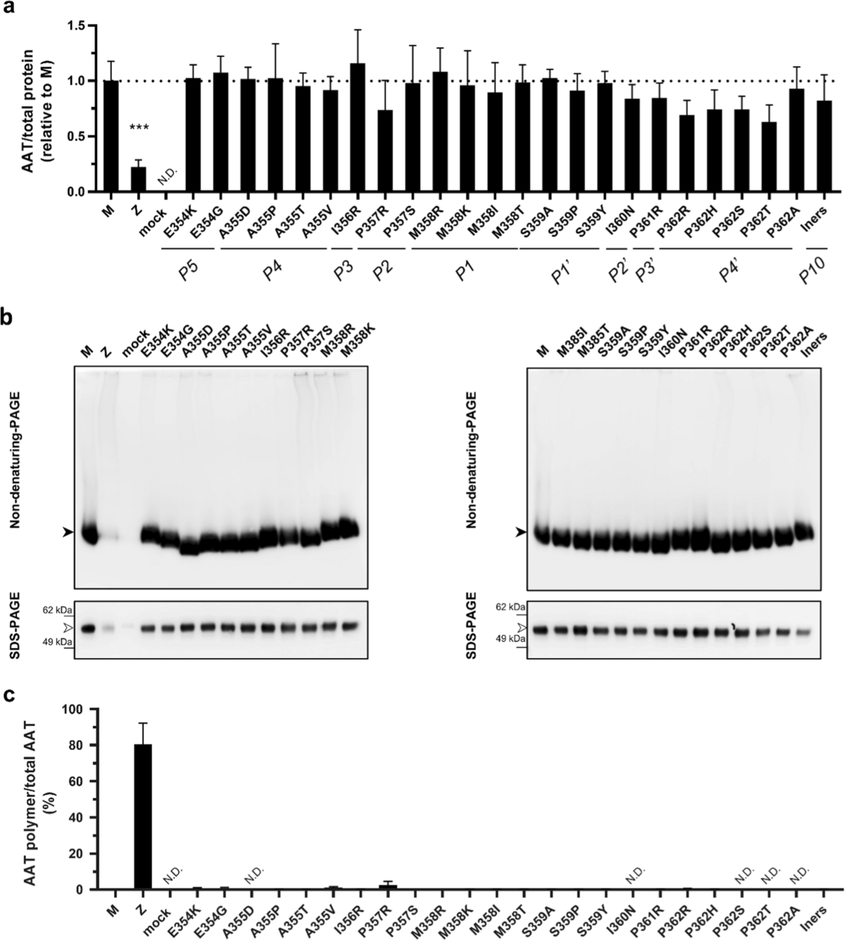 PPT - Primo Ciclo di Laboratori Scientifici per i studenti delle Scuole  Medie Inferiori PowerPoint Presentation - ID:2243808, image size:1200x1337