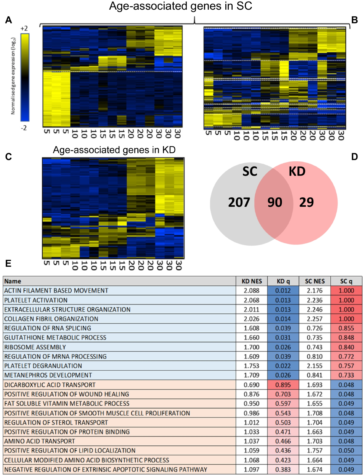 Lingering touchesWhispered promisesA shared secret