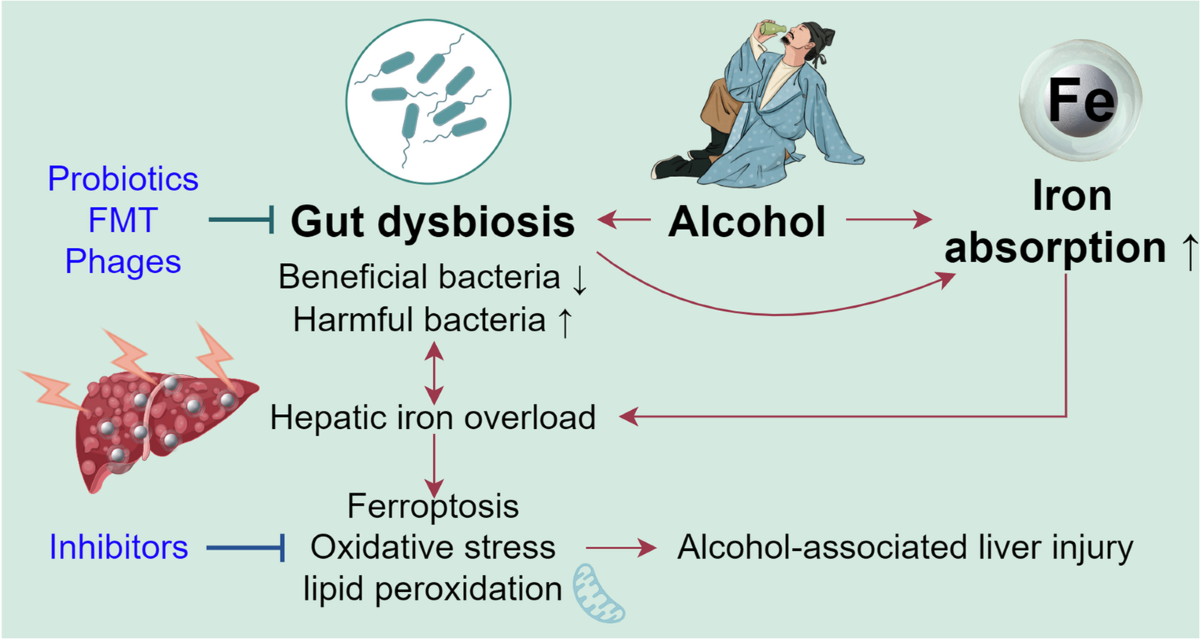 glutathione iv and cortisol Glutathione Injections: Side Effects & Benefits