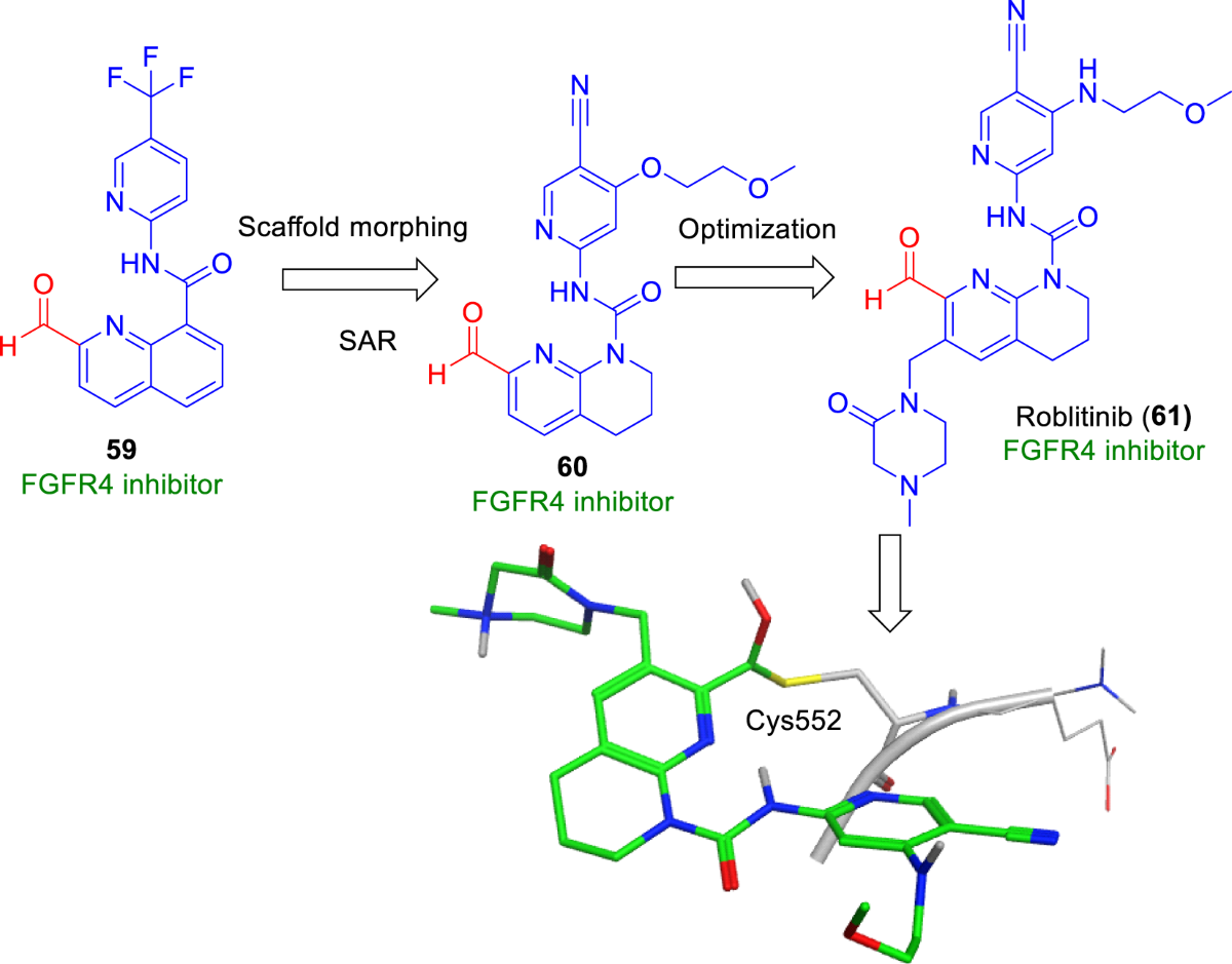 An update on the discovery and development of reversible covalent  inhibitors | Medicinal Chemistry Research