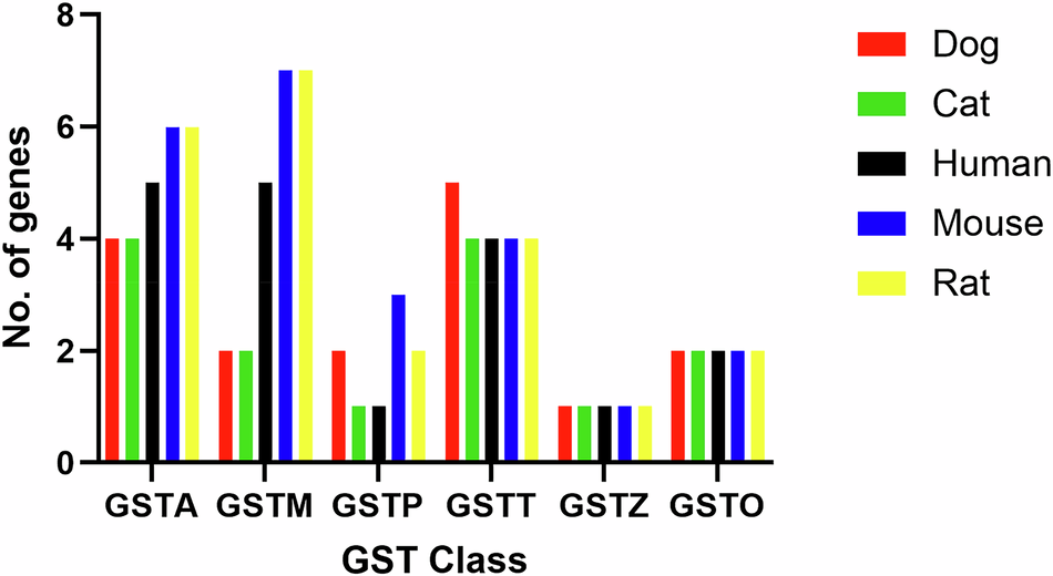 Glutathione transferases in cats and dogs: diversity, structure, and  function | Medicinal Chemistry Research