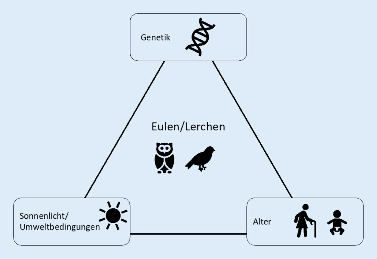 EADV 2020, image size:1200x824