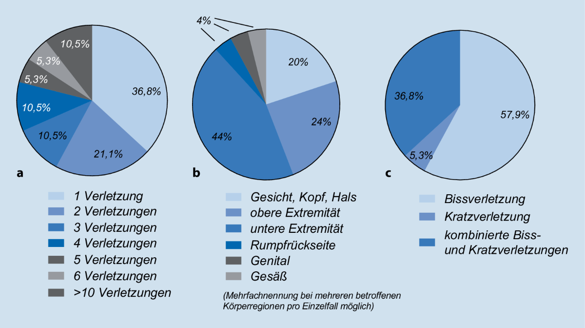 Ich wurde von einem Streuner gebissen. : r/mexico, image size:1200x672