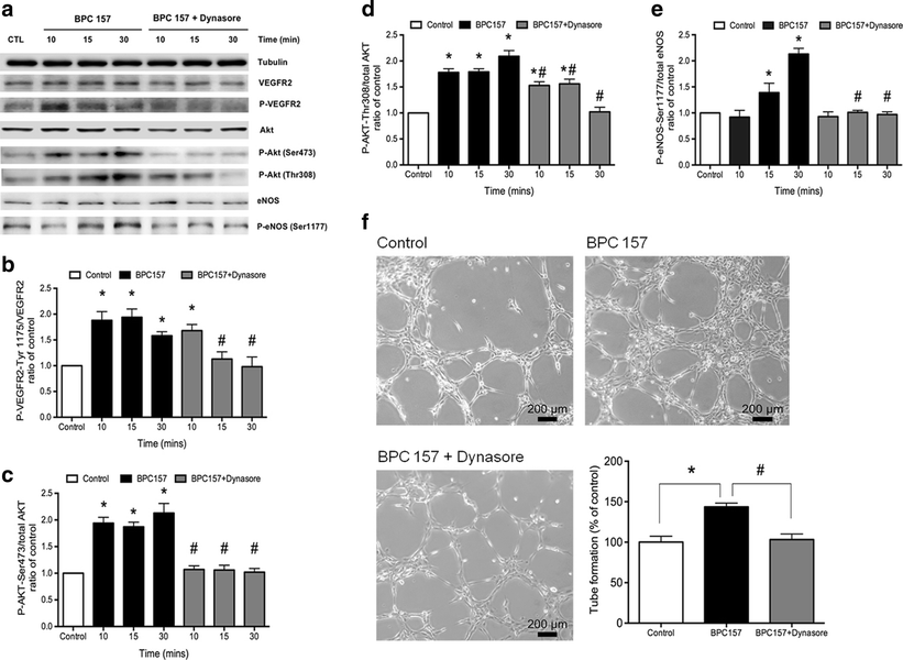 gnc bpc 157 Can BPC 157 Cause Erectile Dysfunction?