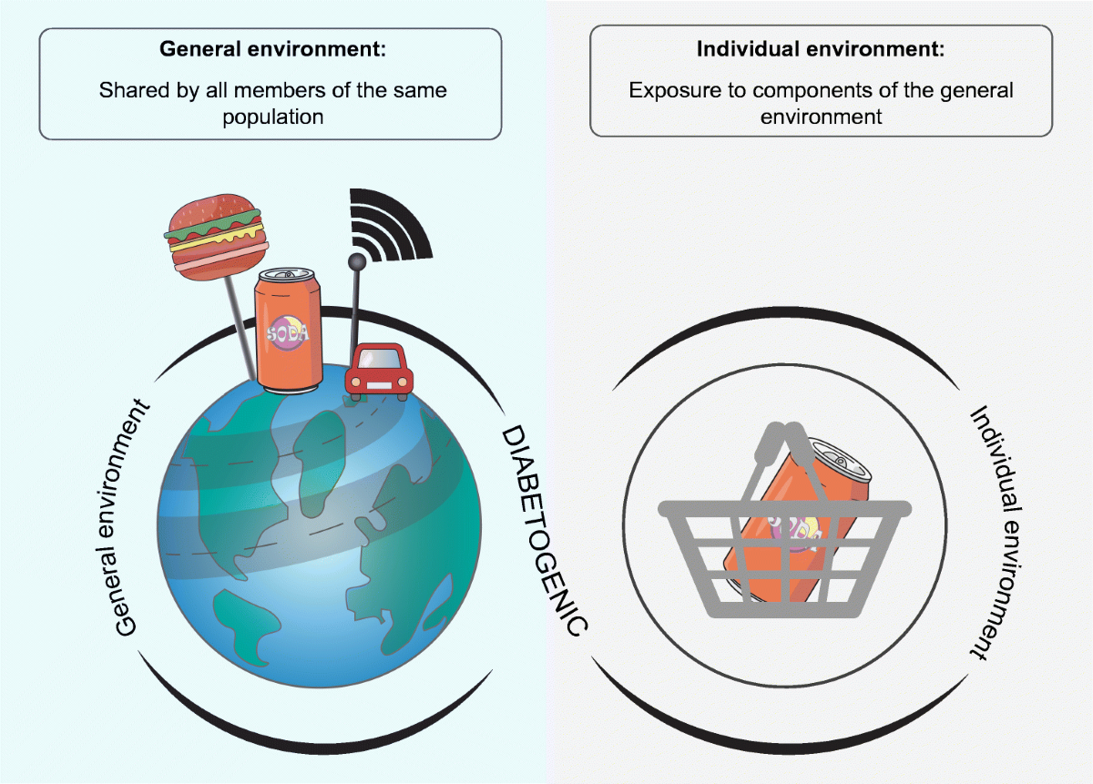 Do gene–environment interactions have implications for the ...