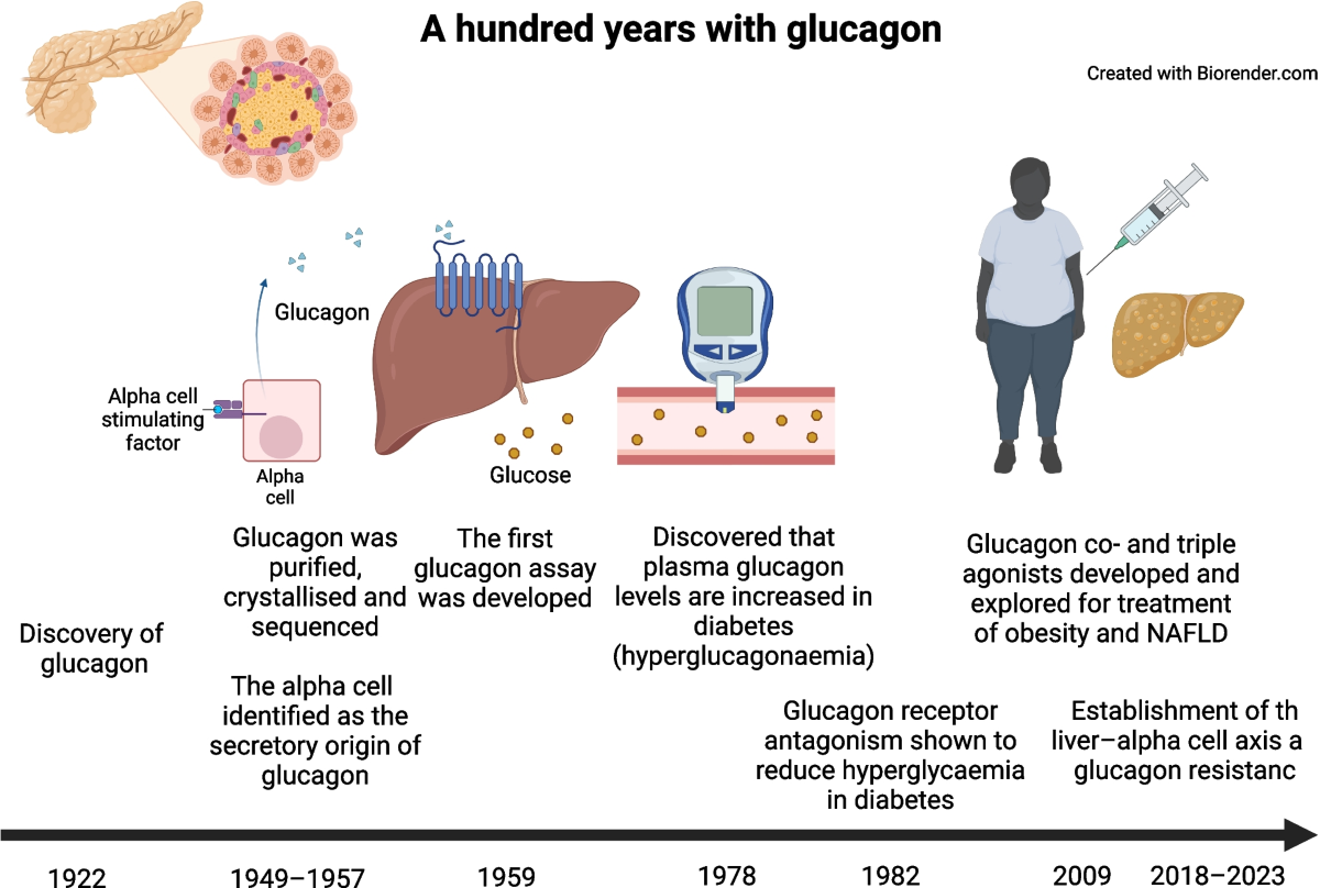 100 years of glucagon and 100 more | Diabetologia