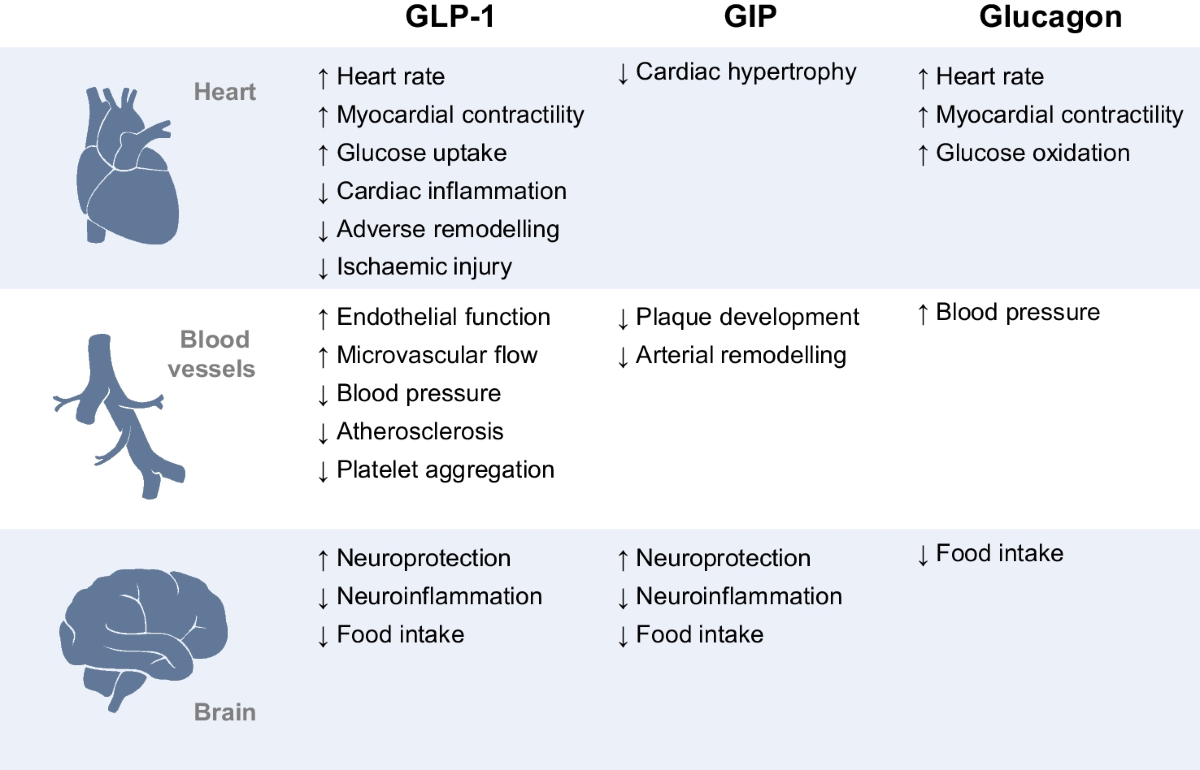 traveling with glp-1 GLP-1 Travel Guide: Storage, TSA Rules, and Healthy Snacks