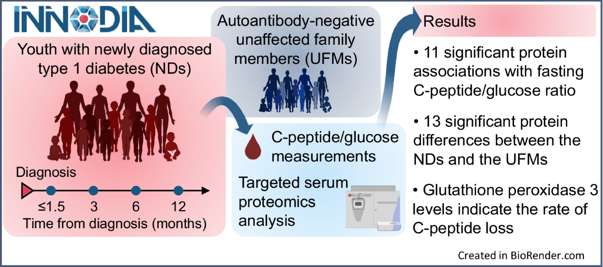 glutathione and diabetes type 1 Targeted serum proteomics of longitudinal samples from newly diagnosed  youth with type 1 diabetes distinguishes markers of disease and C-peptide  trajectory | Diabetologia