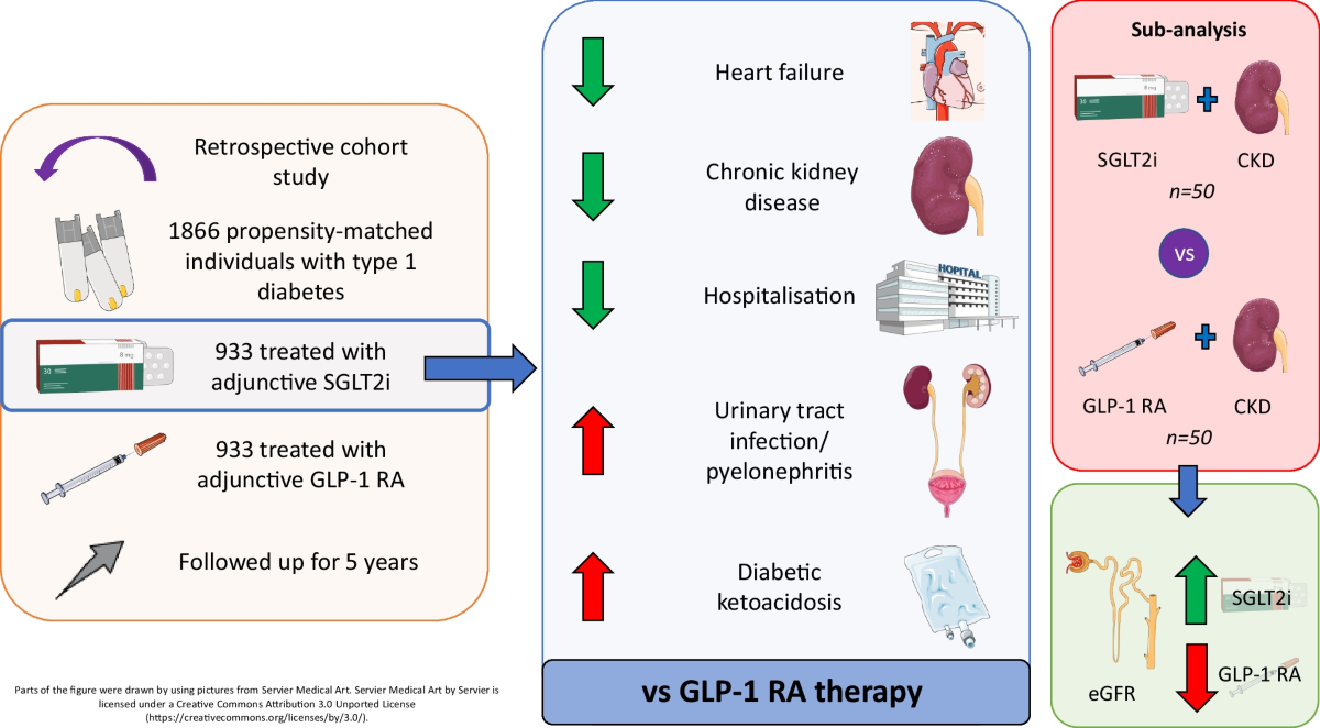 glp 1 drugs and uti SGLT2i and GLP-1 RA therapy in type 1 diabetes and reno-vascular outcomes:  a real-world study | Diabetologia