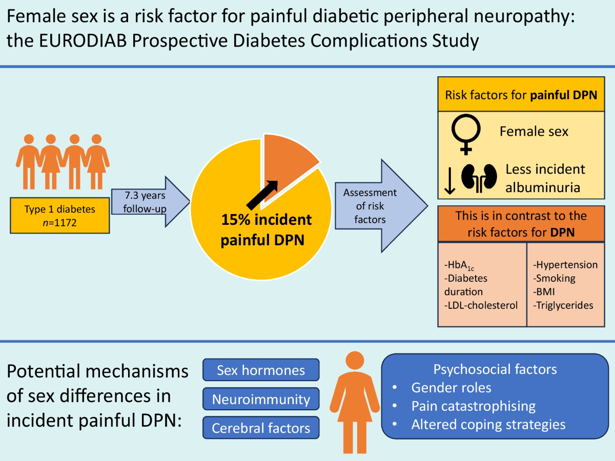 Female sex is a risk factor for painful diabetic peripheral neuropathy: the  EURODIAB prospective diabetes complications study | Diabetologia