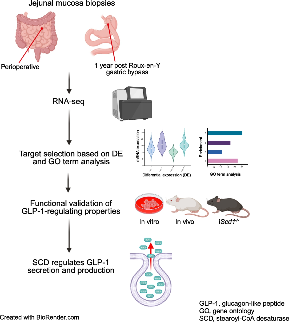 dpp4 and glp-1 combination DPP4 Inhibitor Mechanism of Action – My Endo Consult