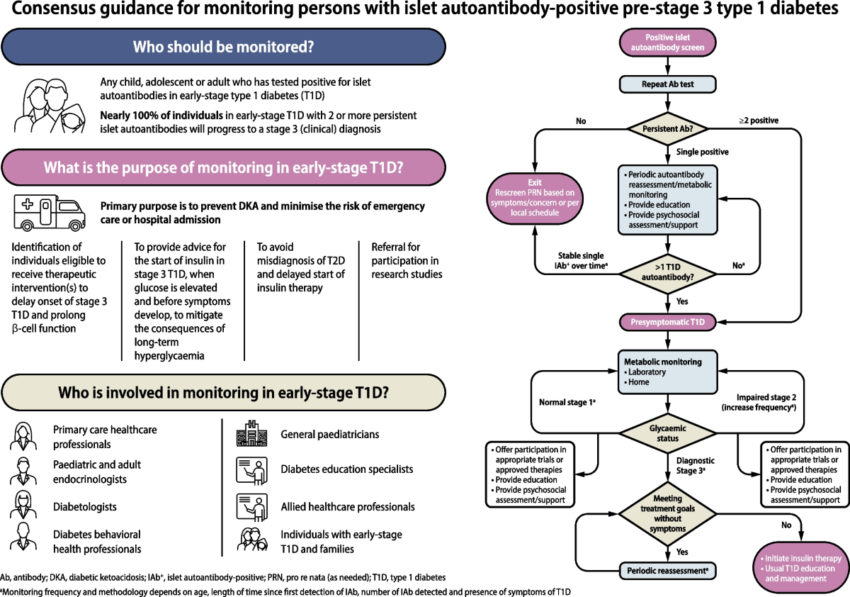 Consensus guidance for monitoring individuals with islet ...