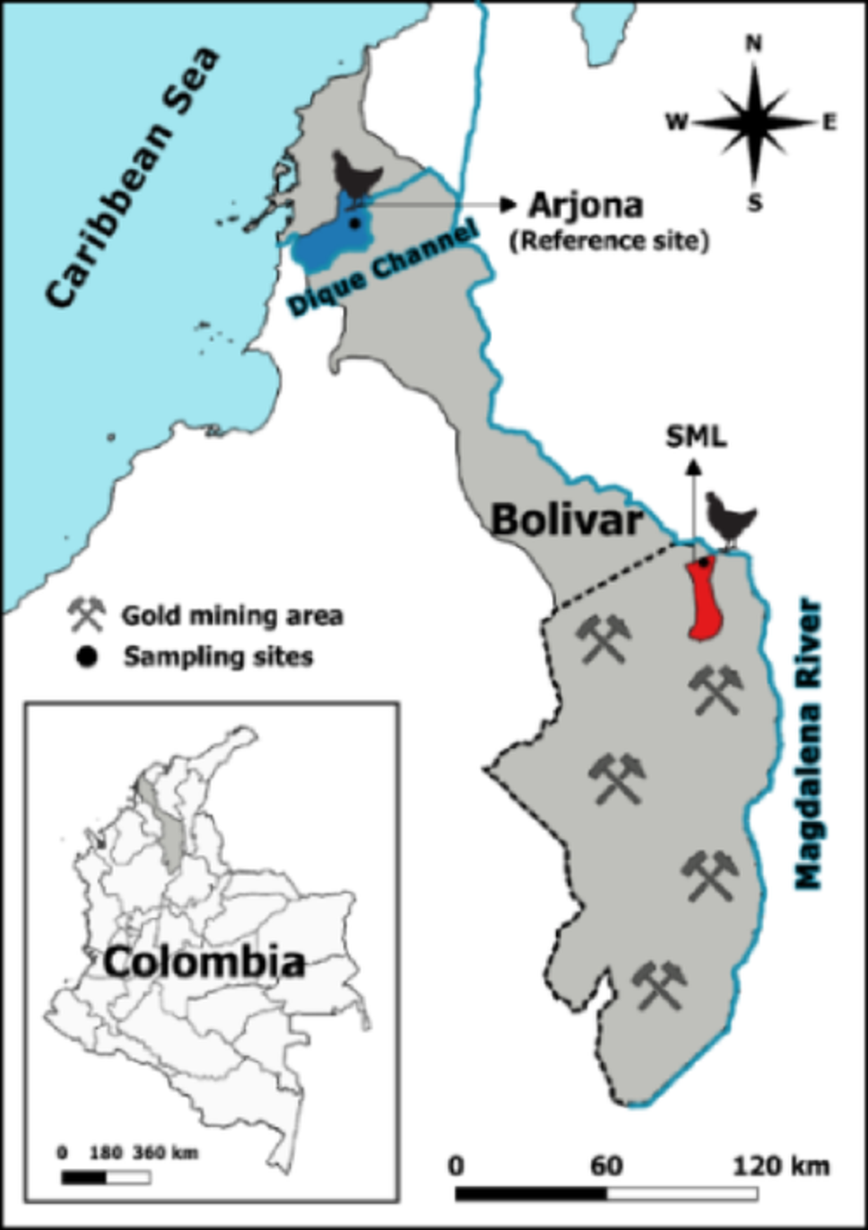 Evaluation of Mercury Contamination in Chickens (Gallus gallus) and Soils  in an Artisanal Gold Mining Area in San Martin De Loba, Bolivar, Colombia |  Bulletin of Environmental Contamination and Toxicology