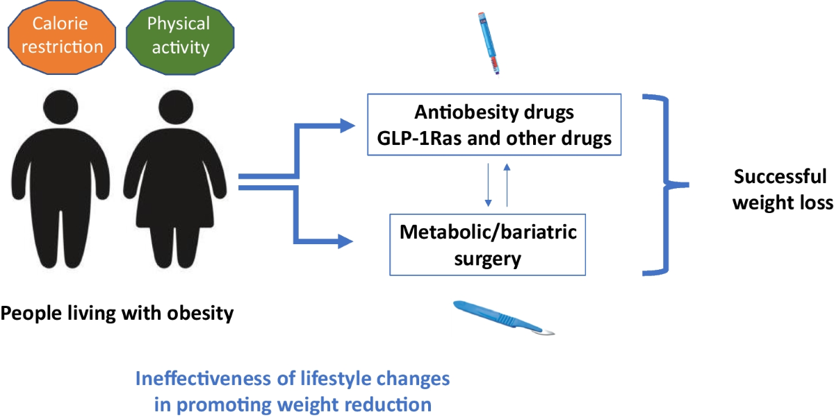 does semaglutide affect bone density Effects of Glucagon-Like Peptide-1 receptor agonists on bone health in  people living with obesity | Osteoporosis International