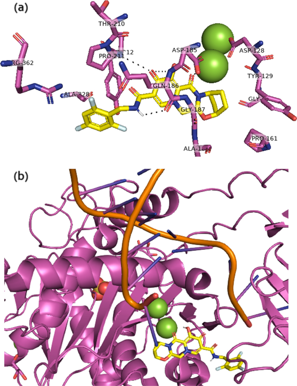 A computational overview of integrase strand transfer inhibitors (INSTIs)  against emerging and evolving drug-resistant HIV-1 integrase mutants |  Archives of Microbiology