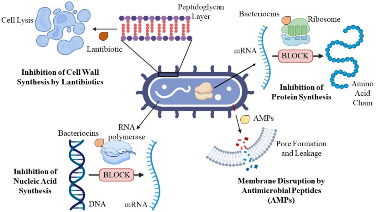 how long does glutathione supplement take to work Glutathione