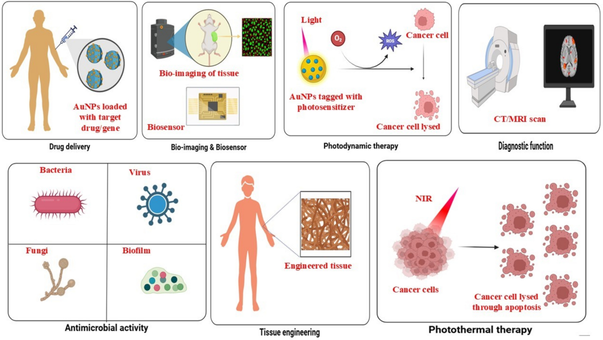 Unveiling the antibacterial efficacy of gold nanoparticles: a critical review | Archives of Microbiology | Springer Nature Link Unveiling the antibacterial efficacy of gold nanoparticles: a critical review | Archives of Microbiology | Springer Nature Link
