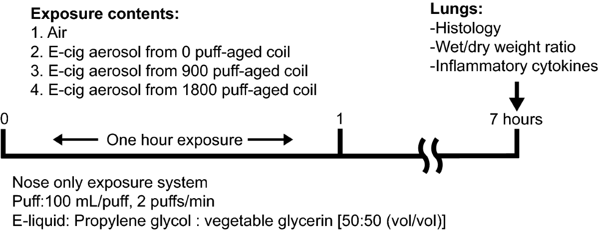 Electronic cigarette vaping with aged coils causes acute lung injury in  mice | Archives of Toxicology