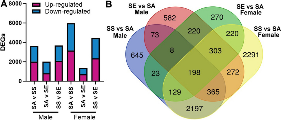 Partial amelioration of a chronic cigarette-smoke-induced phenotype in mice  by switching to electronic cigarettes | Archives of Toxicology