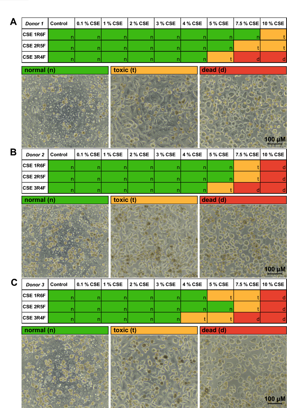 Evaluating CYP enzyme induction by cigarette smoking: a new in vitro  approach using primary human hepatocytes | Archives of Toxicology