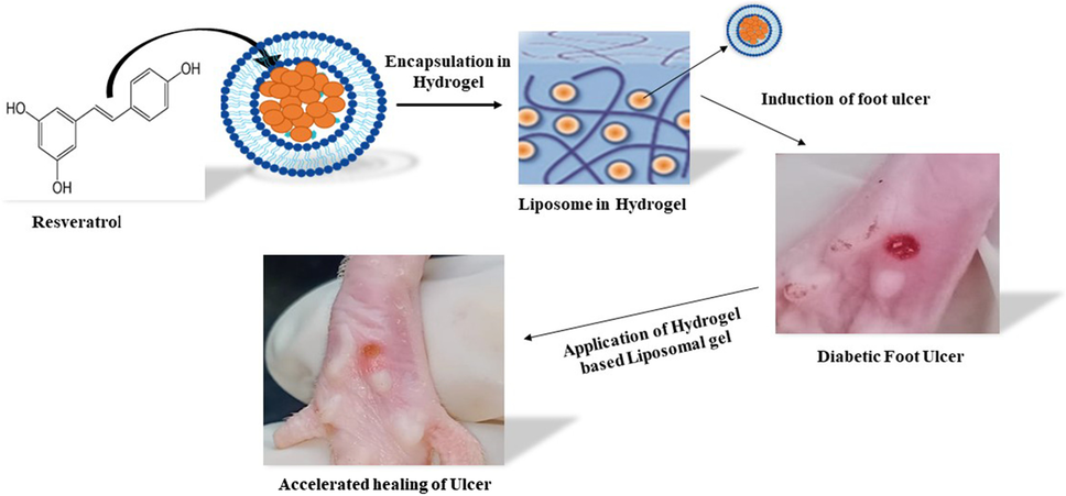 sinha et al 2018 liposomal glutathione eur j clin nutr The Ultimate Boost: 13 Benefits of Liposomal Glutathione