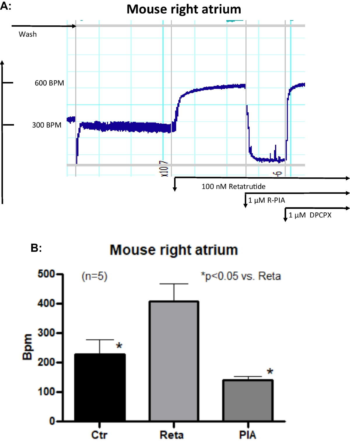Contractile effects of retatrutide in isolated mouse atrial preparations |  Naunyn-Schmiedeberg's Archives of Pharmacology