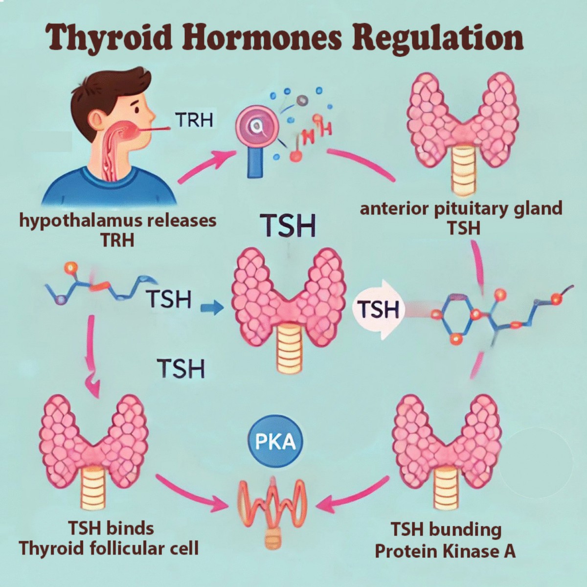 glutathione and hyperthyroidism Natural product-based interventions for thyroid disorders: mechanisms and  applications | Naunyn-Schmiedeberg's Archives of Pharmacology