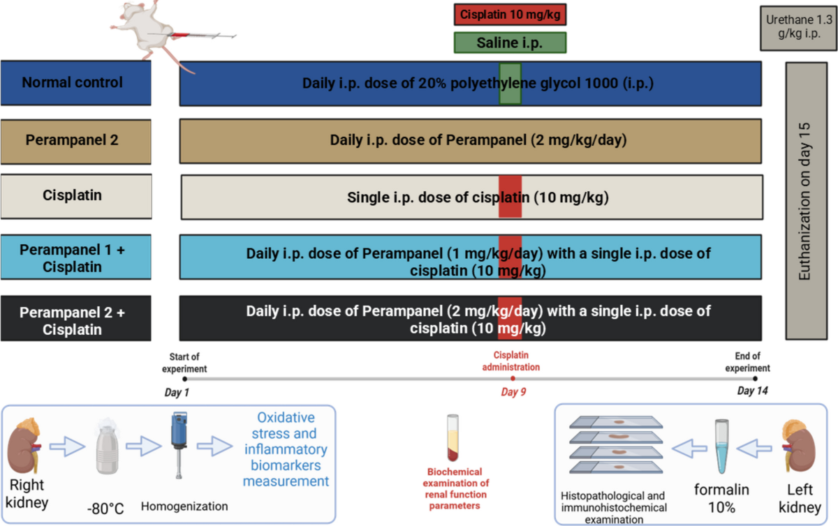 acg glutathione spray review Detoxification — Results RNA