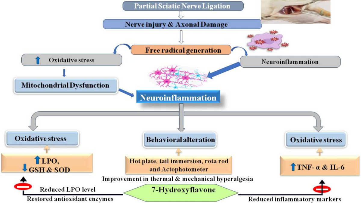 glutathione supplement while breastfeeding Glowing Skin: IV Glutathione and Vitamin C