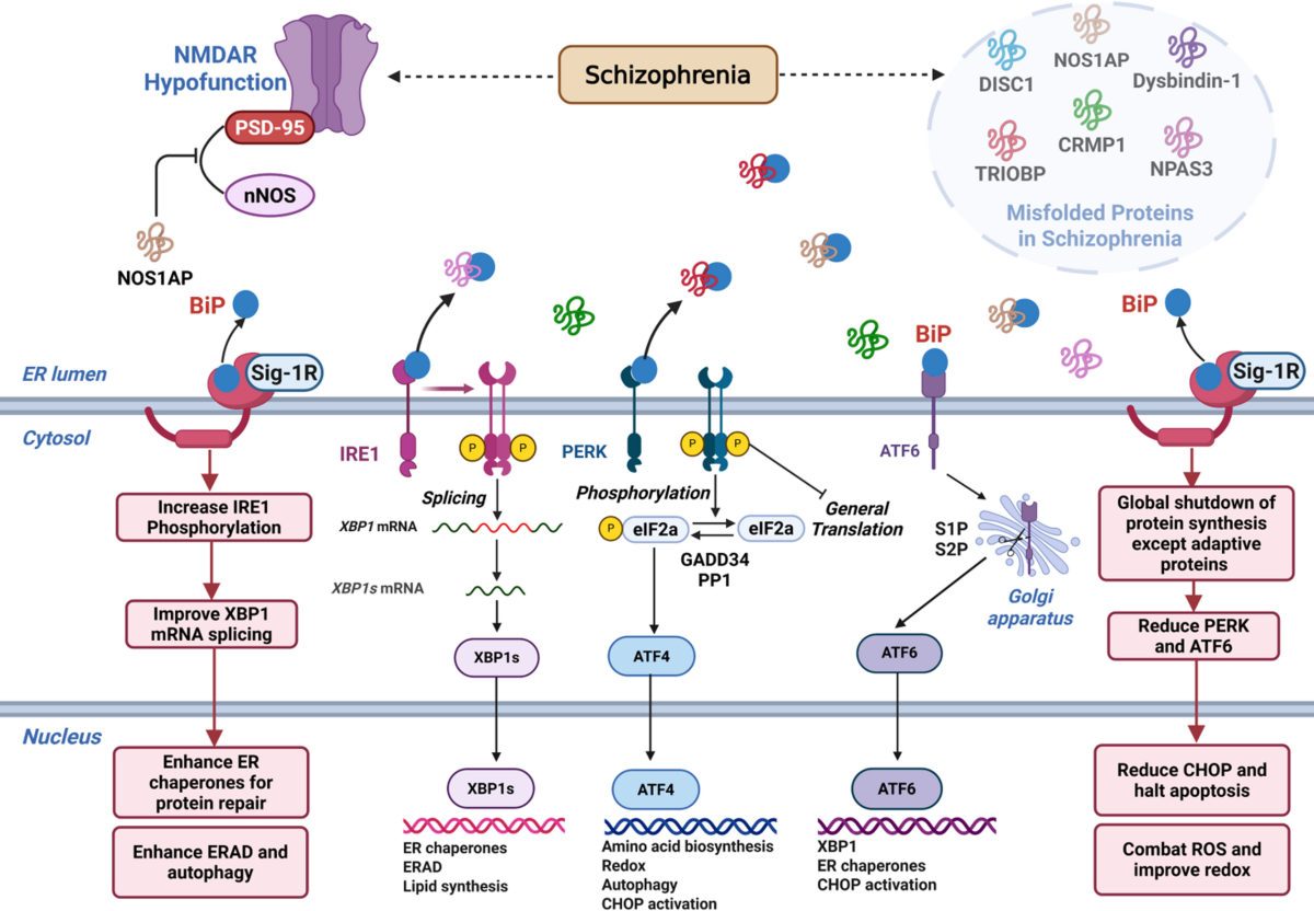THE BEST 10 Insurance Brokers near Carpentersville, IL - Quality \u0026  Affordability - Updated 2025 - Yelp, image size:1200x832